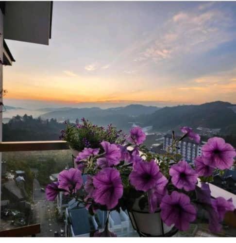 Kensington Sunrise Sg, Palas Horizon,Kea Farm Brinchang Exteriér fotografie